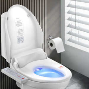 Electric Smart Toilet Seat Bidet